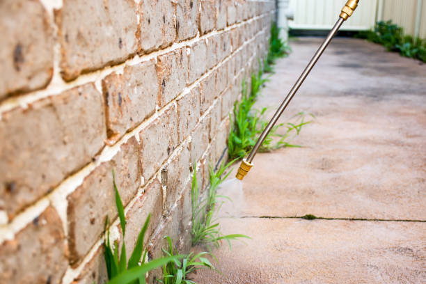 Pest Control for Warehouses in Hauula, HI